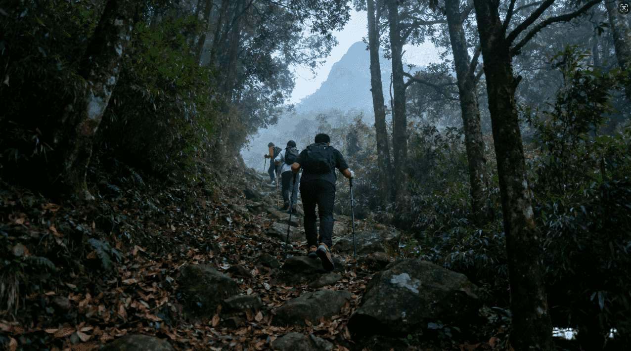 佛跳墙网络加速器助力玩家畅享极速游戏体验全面升级